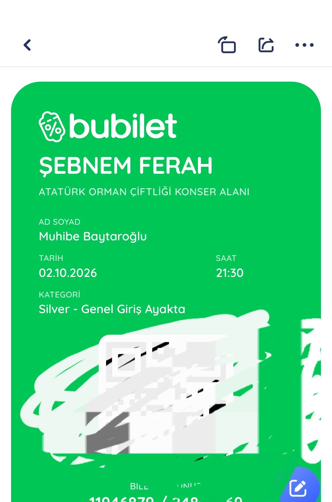 Şebnem ferah konser