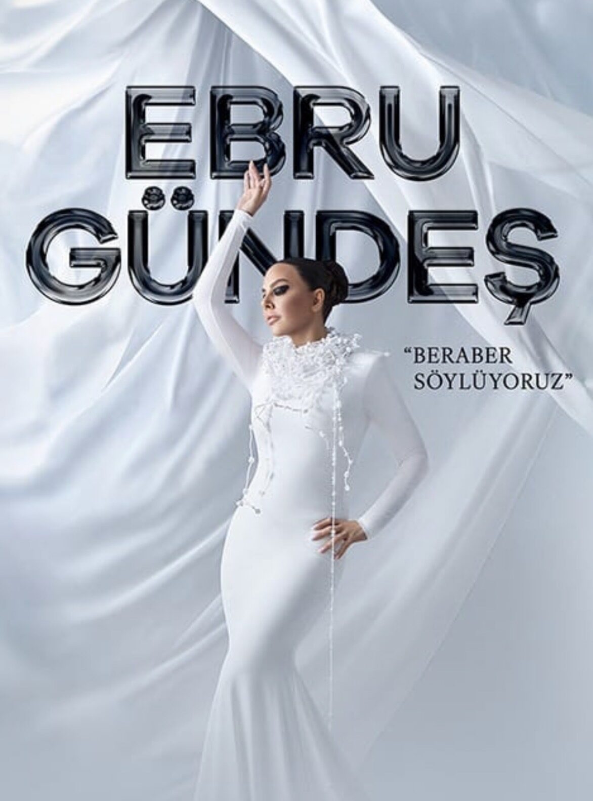 Ebru gündeş konser bileti